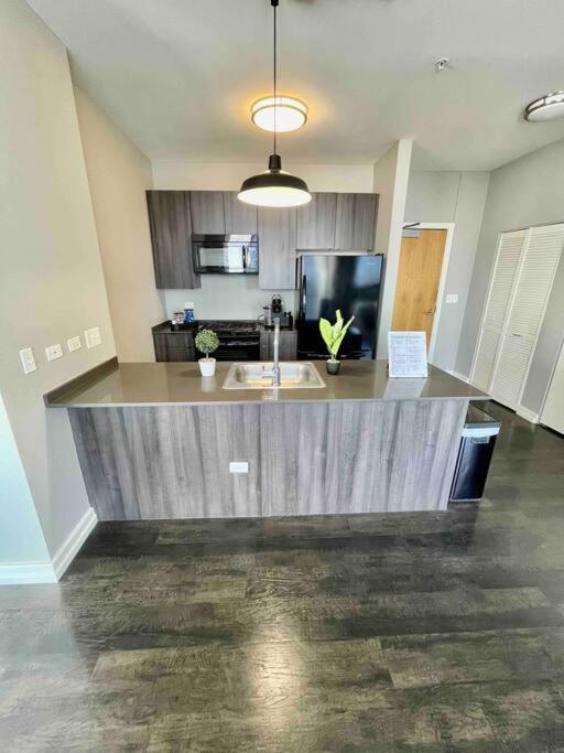 Appartement Penthouse In South Loop Chicago Extérieur photo